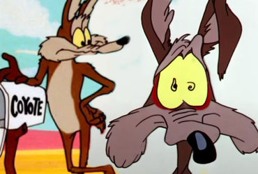 The Legacy of a Beloved Movie: Coyote vs. Acme