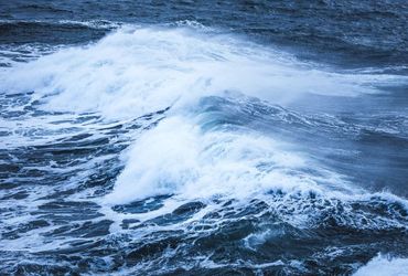 The Impending Collapse of Ocean Currents: A Catastrophic Scenario Unfolding