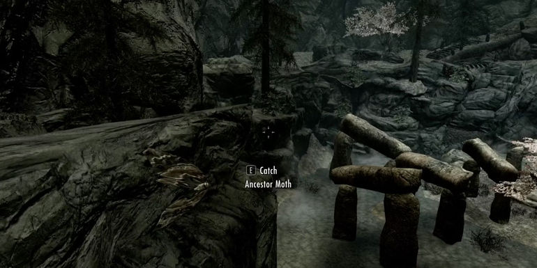 Unveiling the Secrets of Ancestor Moth Wing in Skyrim