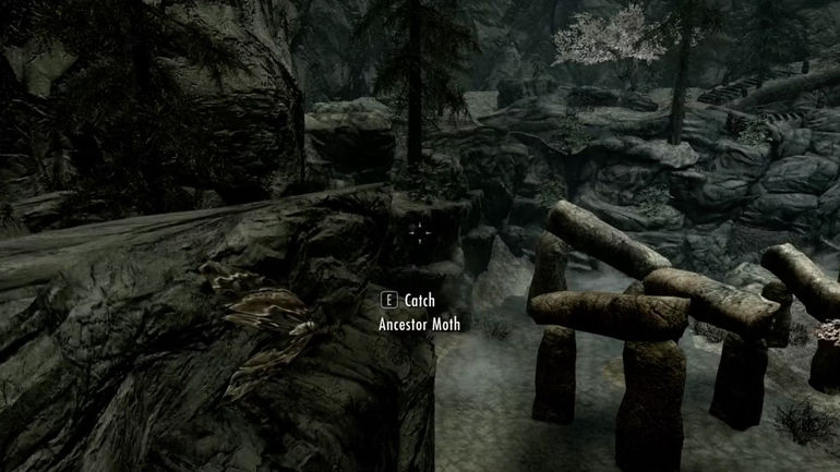 Unveiling the Secrets of Ancestor Moth Wing in Skyrim