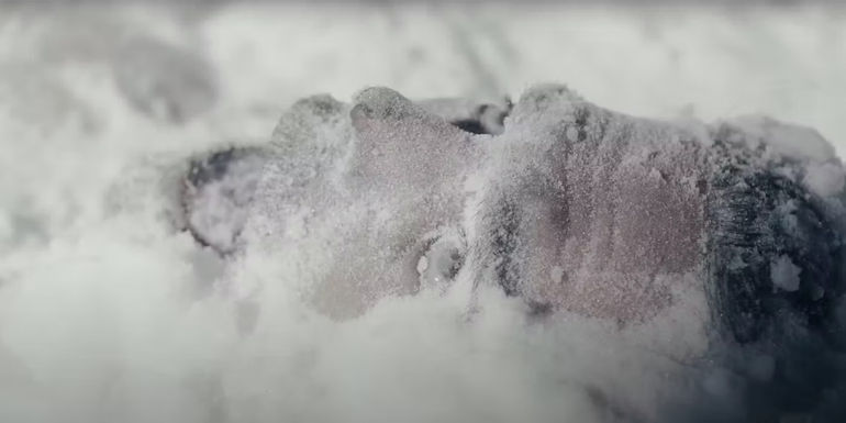 The Researchers True Detective