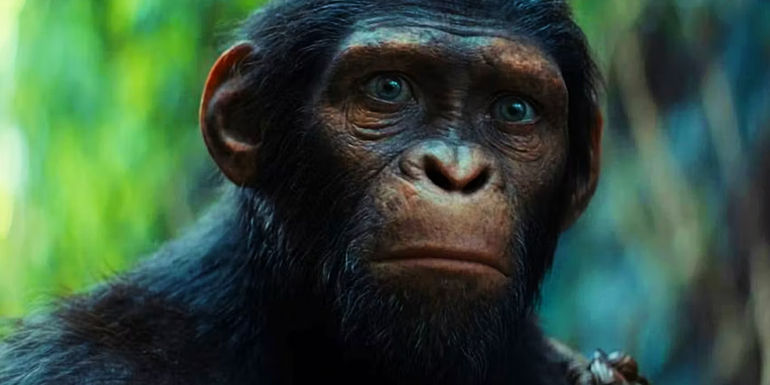 Noa in Kingdom of the Planet of the Apes