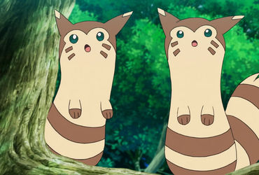 A New Twist on a Familiar Favorite: The Evolution of Furret in the Pokemon Community
