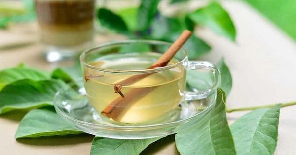 4 loại lá phổ biến giúp kiểm soát đường huyết và bảo vệ sức khỏe