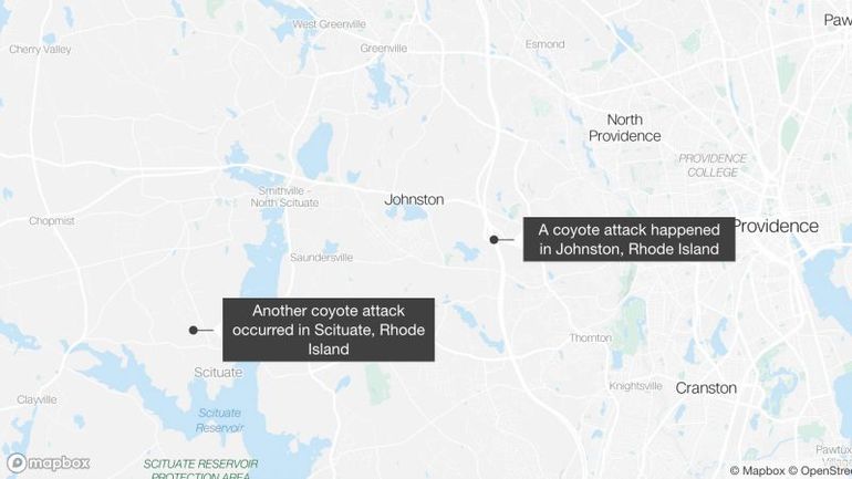 Rare Incident of Rabid Coyote Attacks in Rhode Island