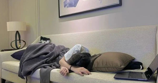 Nguyên nhân gây nhồi máu não và cách phòng tránh hiệu quả