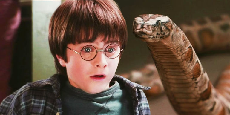 Bí Mật Của Harry Potter: Sự Kết Nối Đặc Biệt Với Rắn