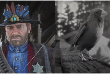 The Quest for Cardinal Feathers: A Red Dead Redemption 2 Guide