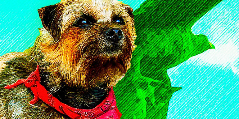 Unforgettable Moments of Laughter in "Canine Capers"