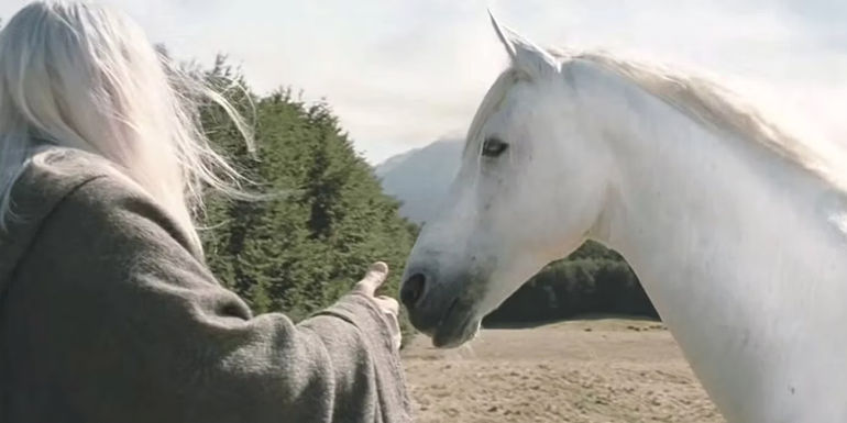 Shadowfax Lord Of The Rings