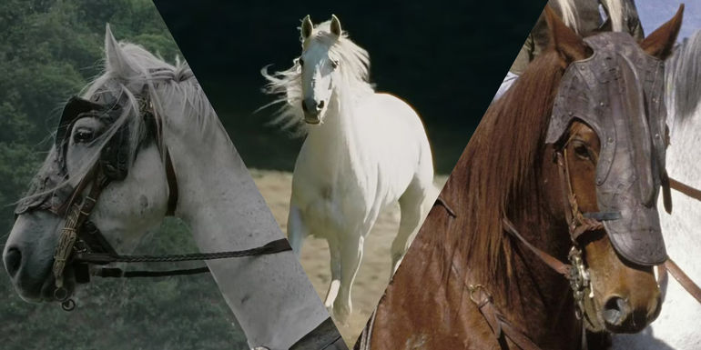 The Legendary Horses of Middle-Earth: A Tale of Courage and Loyalty
