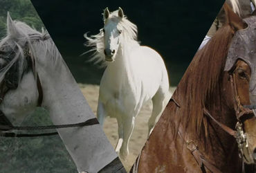 The Legendary Horses of Middle-Earth: A Tale of Courage and Loyalty