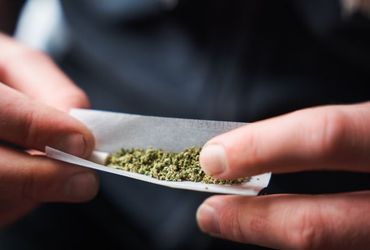 Study Reveals Alarming Risks Associated with Marijuana Use on Cardiovascular Health