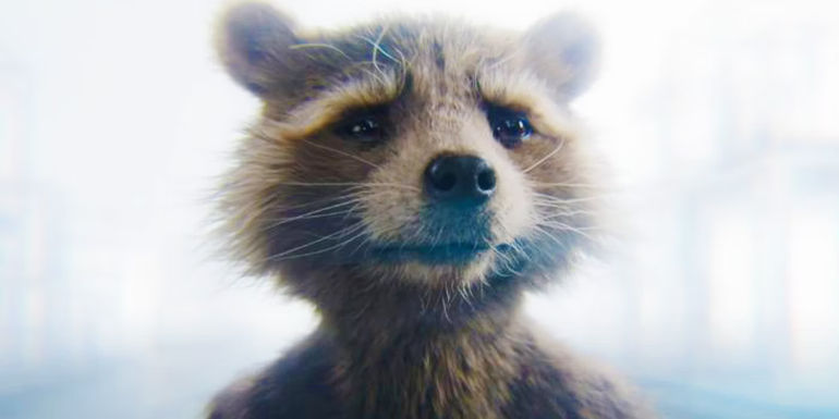 Rocket in the afterlife in Guardians of the Galaxy 3 - Guardians of the Galaxy (2014) - Rocket Raccoon Looks Truly Amazing