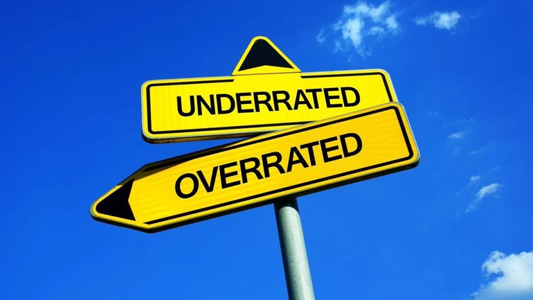 Reevaluating the Impact: Is Social Media Overestimated in Business Strategies?