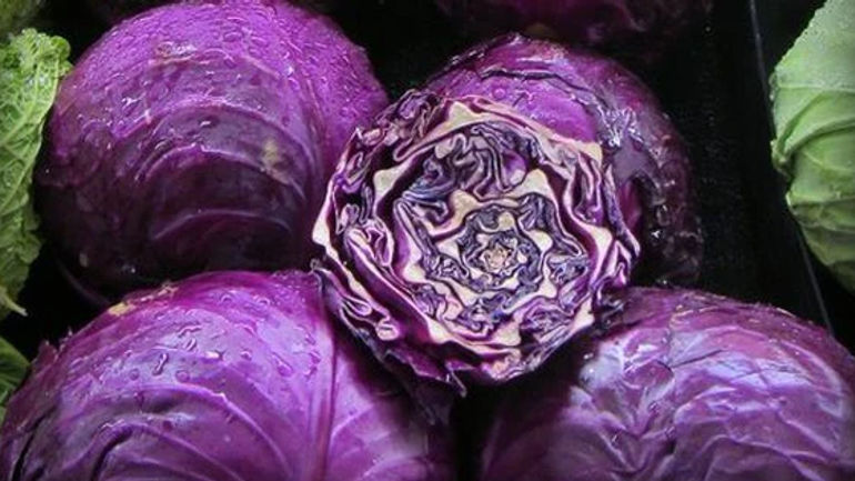 Bí Mật Sức Khỏe và Làm Đẹp từ Bắp Cải Tím