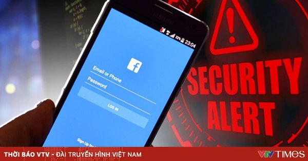 Câu chuyện kỳ diệu của Bạch Đàn Cầu Vồng