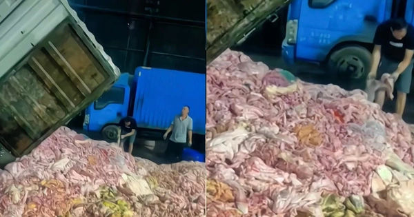 Bí mật đằng sau lòng lợn: Cẩn thận với những dấu hiệu cảnh báo