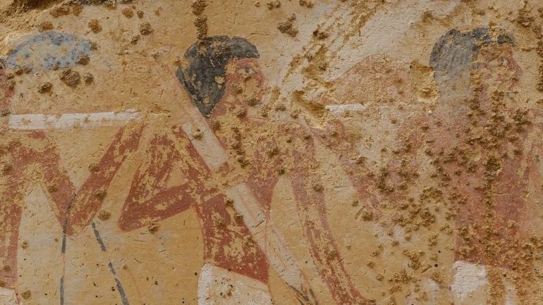 Vibrant Depictions of Ancient Egyptian Daily Life Revealed in 4,300-Year-Old Tomb