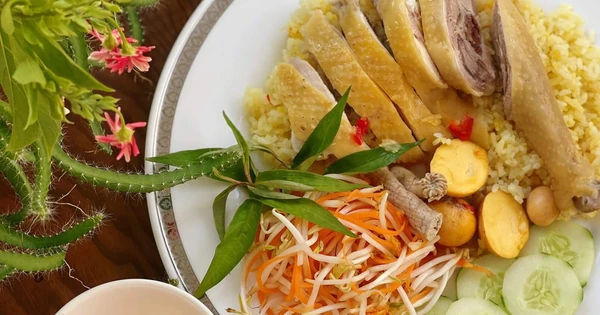 Khám phá về Vi Khuẩn Salmonella: Nguy Cơ Ngộ Độc Thực Phẩm Trong Mùa Hè