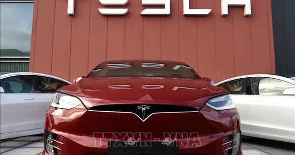 Cuộc cách mạng xe điện Tesla tại Mexico: Hơn 4.000 xe triệu hồi vì lỗi phần mềm
