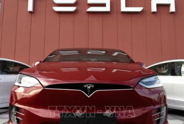 Cuộc cách mạng xe điện Tesla tại Mexico: Hơn 4.000 xe triệu hồi vì lỗi phần mềm