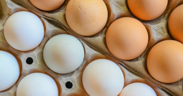 Khám phá Ưu Điểm Dinh Dưỡng Của Các Loại Trứng Đa Dạng