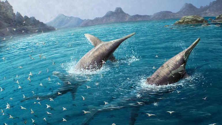 Incredible Discovery: Uncovering the Massive Prehistoric Creature