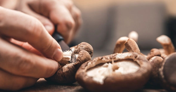 Nấm - Siêu Thực Phẩm Đa Dạng và Bổ Dưỡng