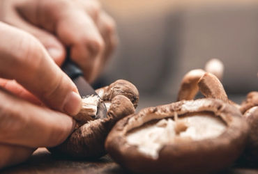 Nấm - Siêu Thực Phẩm Đa Dạng và Bổ Dưỡng