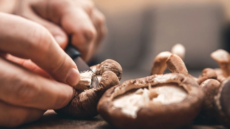 Nấm - Siêu Thực Phẩm Đa Dạng và Bổ Dưỡng