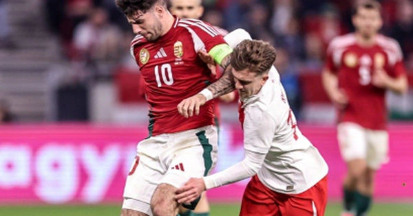 Cuộc hành trình của Đội tuyển Hungary tại VCK EURO 2024