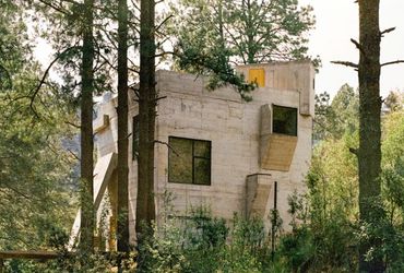 Nature's Resurgence: Captivating Images of Greenery Embracing Brutalist Structures