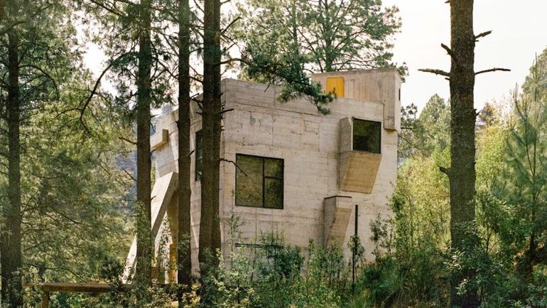 Nature's Resurgence: Captivating Images of Greenery Embracing Brutalist Structures