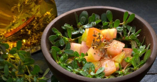 Bí ẩn của Rau Sam: 'Món trường thọ' giàu vitamin C và protein, bí quyết làm trắng da