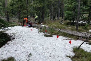 Surviving the Unthinkable: Veteran's Terrifying Encounter with a Grizzly Bear