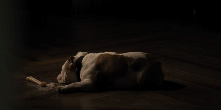 Winnie chews a poisoned bone in Only Murders in the Building
