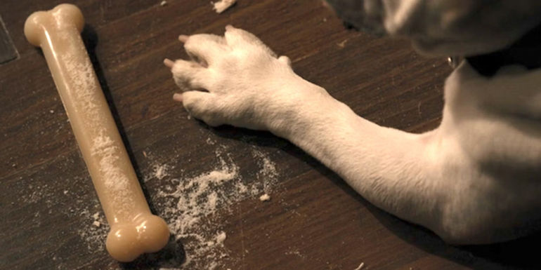 Winnie's poisoned bone in Only Murders in the Building