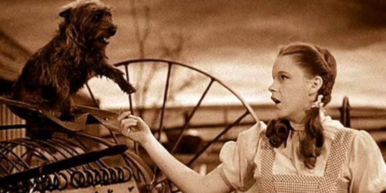 Dorothy speaks to Toto, in Kansas, in The Wizard of Oz.