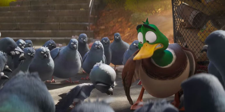 Migration duck surrounded by pigeons