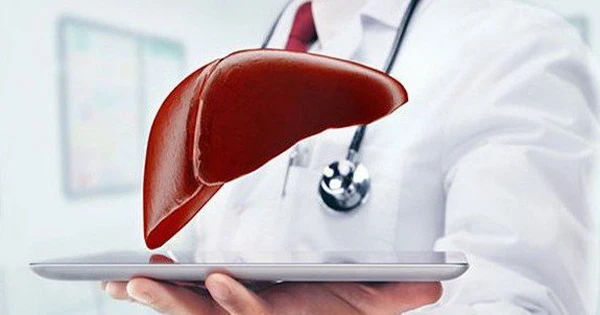 7 điều cực đơn giản giúp bảo vệ gan hiệu quả: Lời khuyên từ 3 chuyên gia hàng đầu
