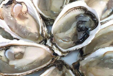 Nghi ngờ ngộ độc thực phẩm tại quán Flamme Buffalo, TP. Biên Hòa