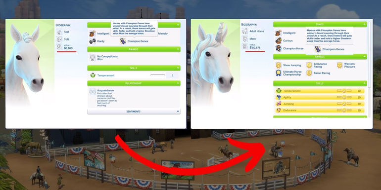 The Ultimate Guide to Maximizing Profit in The Sims 4: Horse Ranching