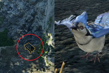 Unearth the Hidden Path to the Enchanted Chest in Druid Grove - Baldur's Gate 3 Guide