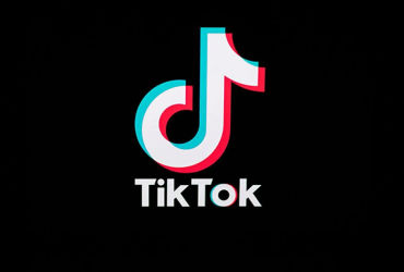 Unveiling the Sensational You're My Bird Trend on TikTok