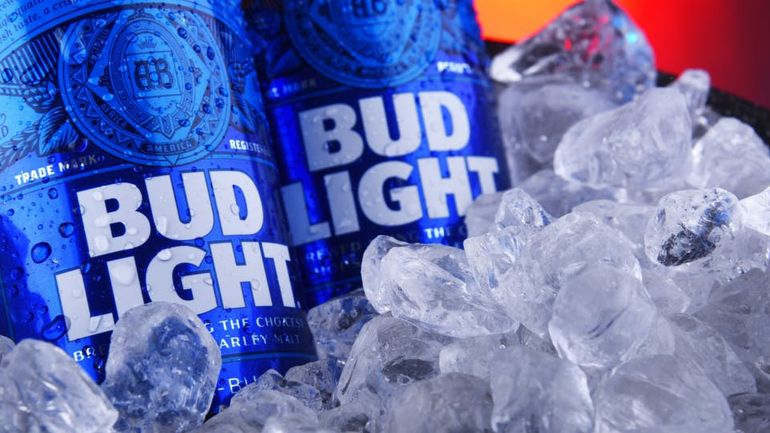 Bud Light's Struggle: AB InBev Records Significant 14% Drop in US Sales