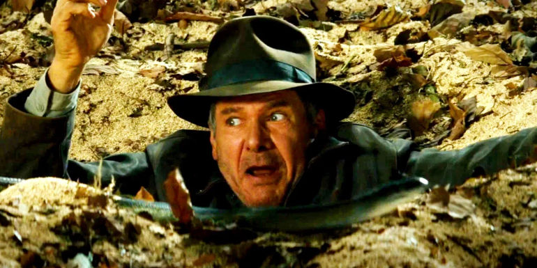 Harrison Ford Astonished as Scientists Dedicate Third Animal in his Honor, Unveiling Surprising Connection