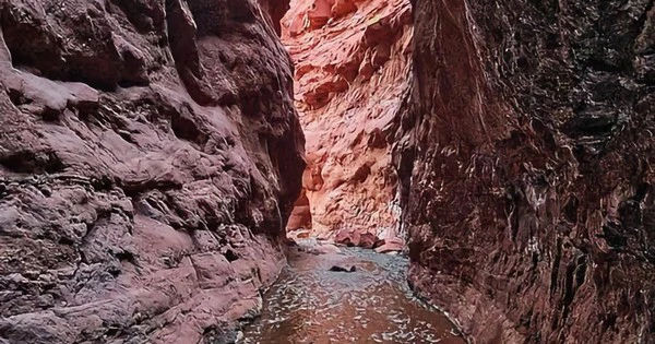 Tận hưởng sự sống với tính năng 'độc' đầy bất ngờ trên iPhone