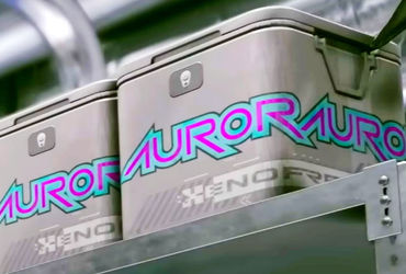 The Ultimate Showdown: Starfield's Aurora vs The Elder Scrolls' Skooma – Which Has the Perfect High?