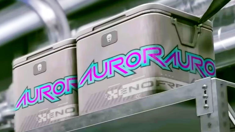 The Ultimate Showdown: Starfield's Aurora vs The Elder Scrolls' Skooma – Which Has the Perfect High?